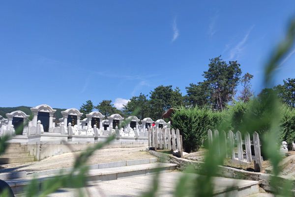 沈阳墓地陵园概览与选择指南