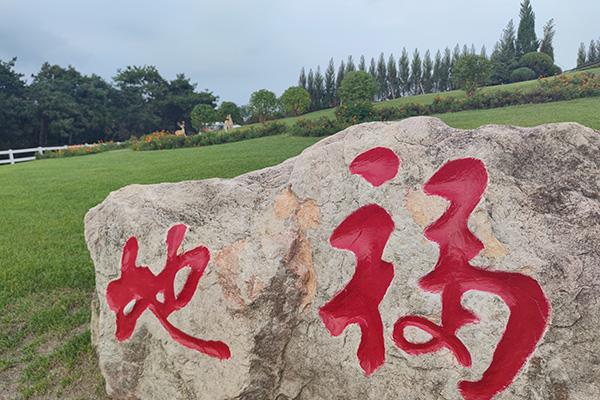 沈北新区怪坡墓地