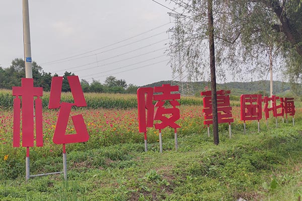 沈阳松陵墓园花海