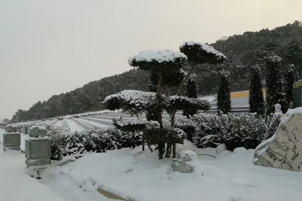 沈阳公墓殡葬改革：保护土地资源和生态环境的重要措施