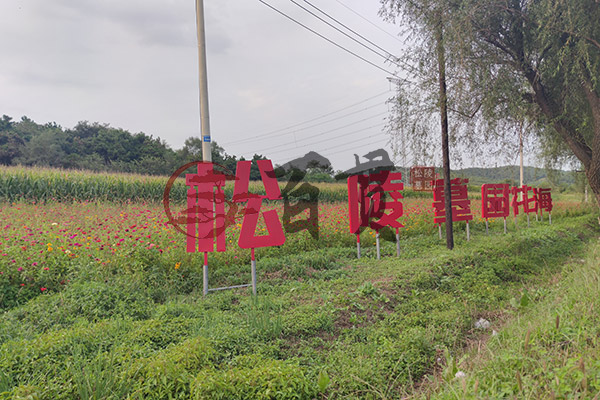 沈阳陵园遗体土葬步骤与注意事项：如何妥善安置逝者遗骸？ 
