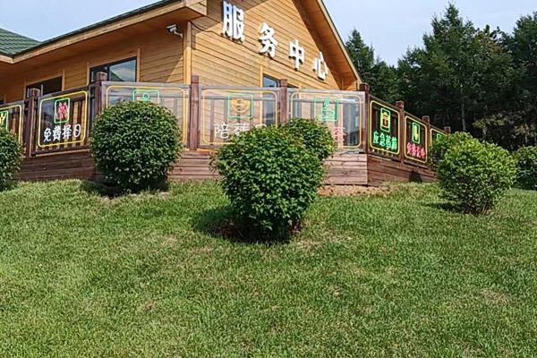 在沈阳墓地进行代扫时，除了基本服务外，还有哪些可选的贡品或服务？